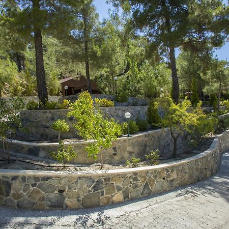 Ricky Chalet Near Troodos Spilia Eksteriør billede