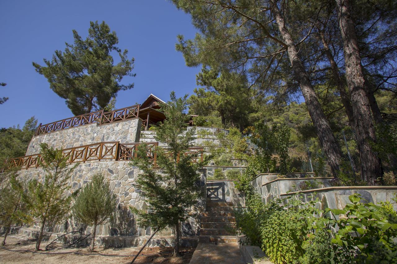 Ricky Chalet Near Troodos Spilia Eksteriør billede