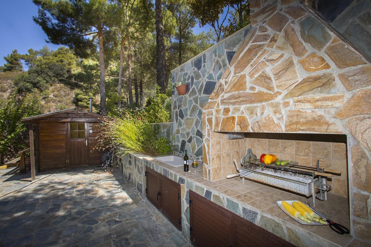 Ricky Chalet Near Troodos Spilia Eksteriør billede