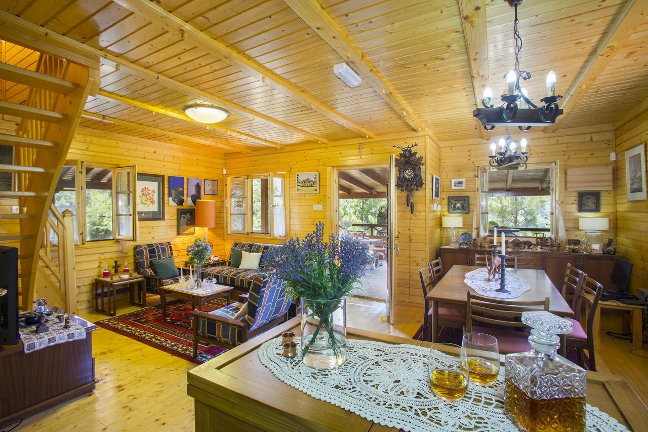 Ricky Chalet Near Troodos Spilia Eksteriør billede