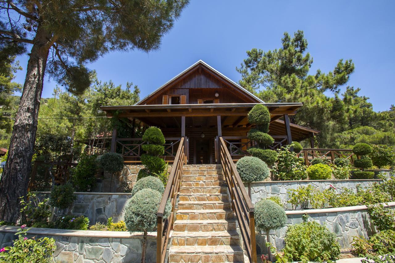 Ricky Chalet Near Troodos Spilia Eksteriør billede