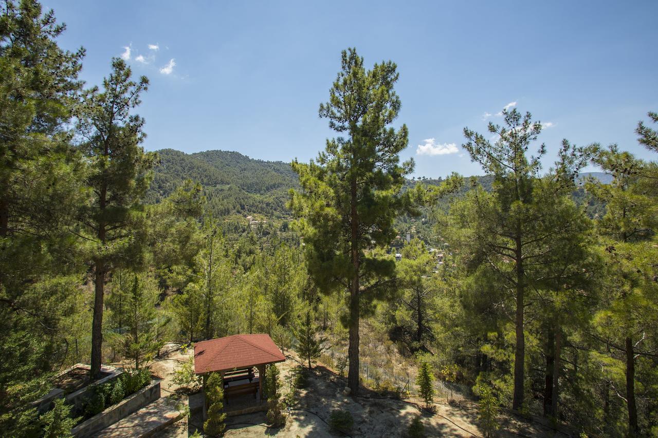 Ricky Chalet Near Troodos Spilia Eksteriør billede
