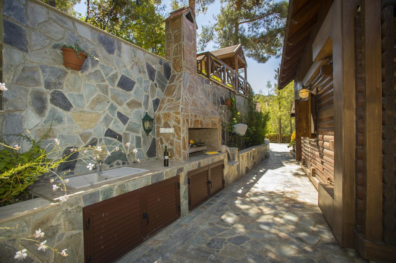 Ricky Chalet Near Troodos Spilia Eksteriør billede